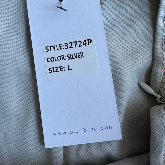 BlueB. Embellished High Rise Silver Shorts NWT Size L. - Picture 3 of 5